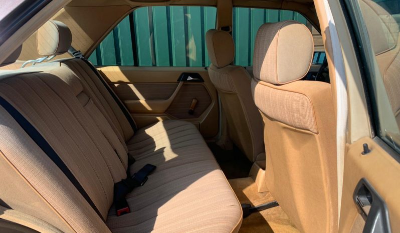 Mercedes-Benz W124 250D Schuifdakje vol