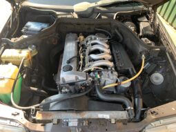 Mercedes-Benz W124 250D Schuifdakje vol